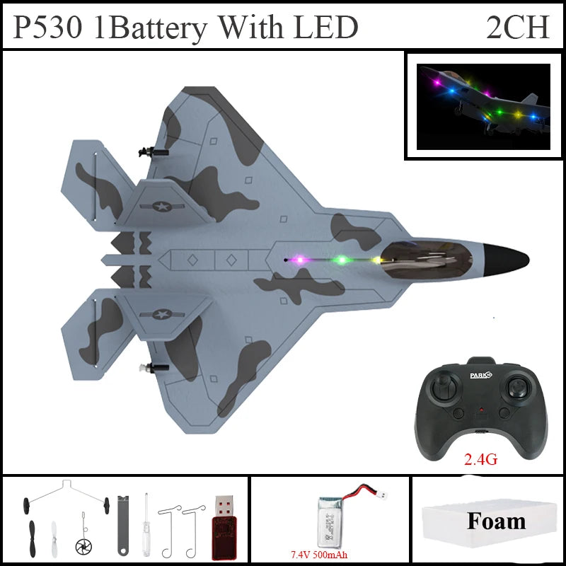 2024 Top P530 2.4G 2CH RC Airplane Raptor F22 Warplane Version LED Light With Gyroscope Toys A Gift For Boys with Easy Flying